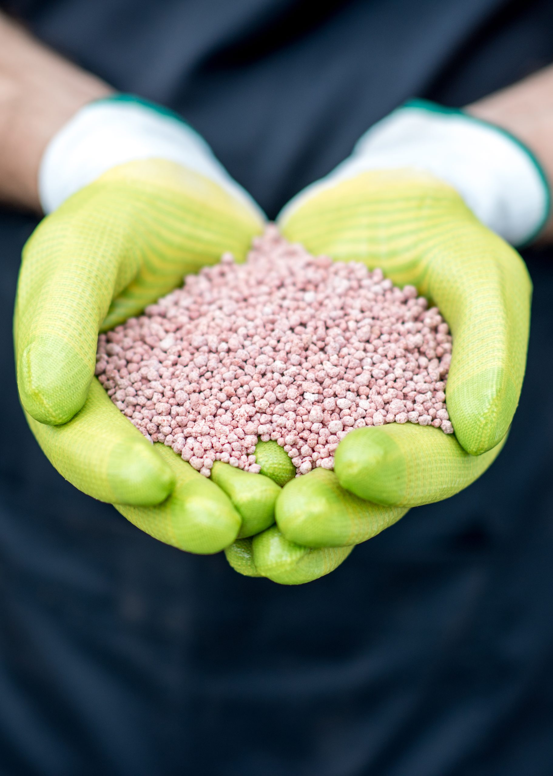 Konrad%20Kaczmarczyk%20AGRO KON